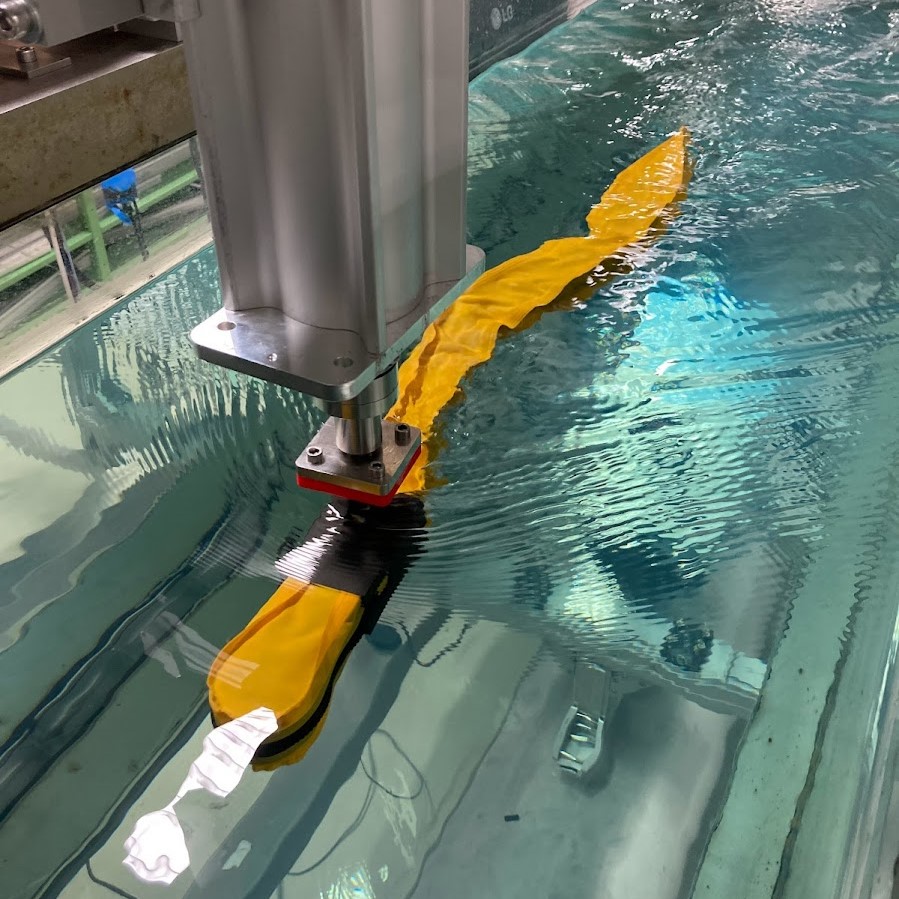 eel-robot